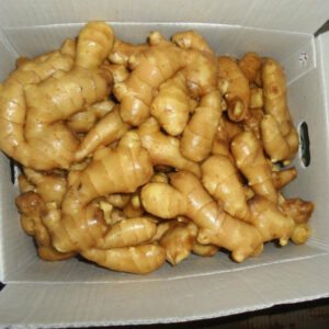 Fresh Ginger